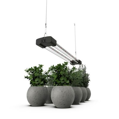 Image showing  100 Watt Equivalent 1,900-Lumen 2 ft. LED Grow Light, 16W Full Spectrum 5000K, 660 nm Red Light Enriched