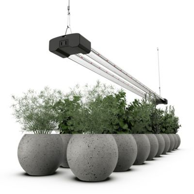 Image showing  200 Watt Equivalent 3,600-Lumen 4 ft. LED Grow Light, 30 Watt Full Spectrum 5,000K, 660 nm Red Light Enriched