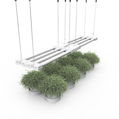 Image showing  80W LED Grow Light Full Spectrum 660 nm Red Light Enriched Modular Linking System