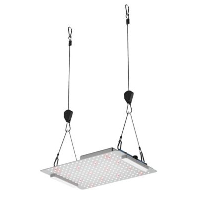 Image showing  200 Watt HID Equivalent 16,000-Lumen 105 Watt LED Grow Light, Full Spectrum 3000K+5000K, 660 +730 nm Red Infrared Light