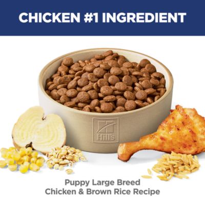 Image showing  Large Breed Puppy Chicken and Brown Rice Recipe Dry Dog Food