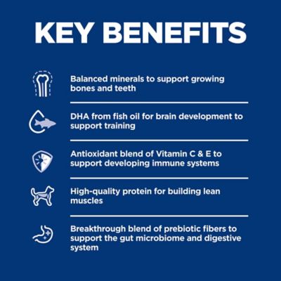 Image showing  Puppy Chicken and Brown Rice Recipe Dry Dog Food