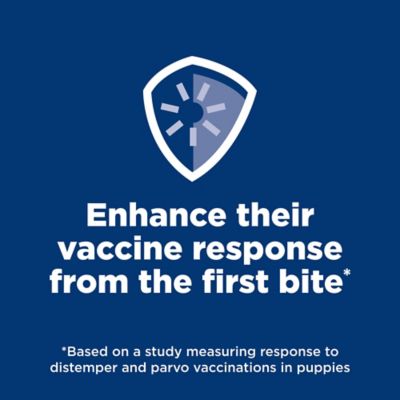 Image showing  Puppy Chicken and Brown Rice Recipe Dry Dog Food