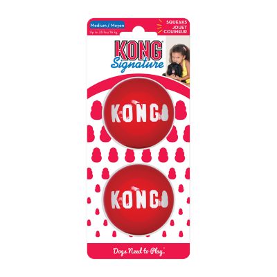 KONG Signature Balls 2 Pack Dog Toy My dogs destroy most toys,  they don’t squeak anymore but they have not destroyed these … very durable for chewers