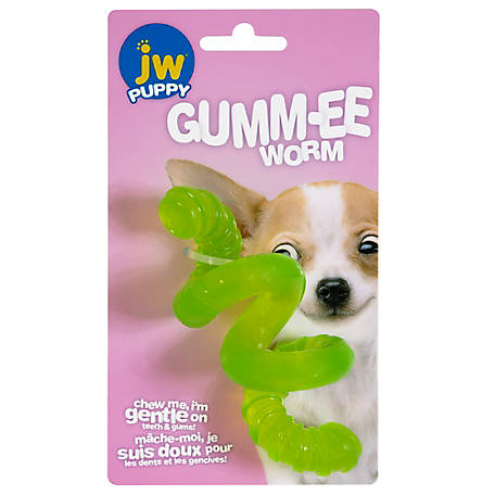 JW Pet Gumm-ee Worm Dog Toy