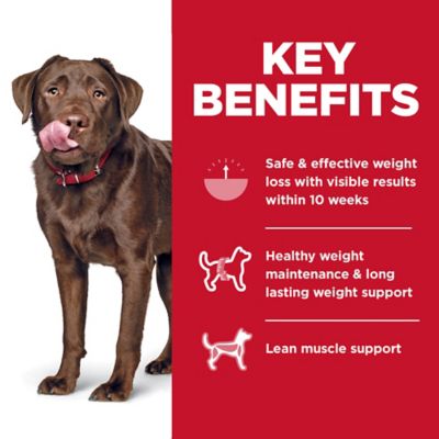 Image showing  Large Breed Adult Perfect Weight Chicken Recipe Dry Dog Food, 25 lb. Bag