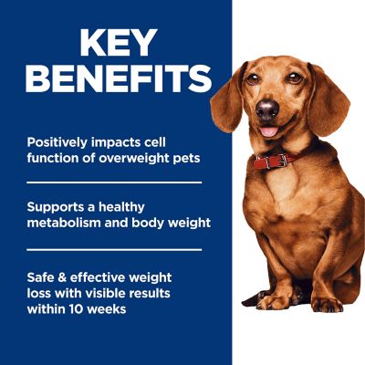 Image showing  Small and Mini Breed Adult Perfect Weight Chicken Recipe Dry Dog Food