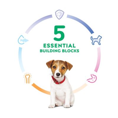 Image showing  Puppy Small Bites Chicken Meal and Barley Recipe Dry Dog Food