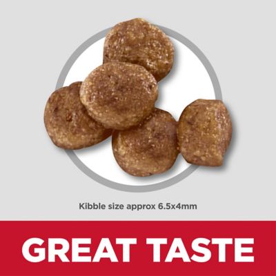 Image showing 5 th Hill's Science Diet Puppy Small Bites Chicken Meal and Barley Recipe Dry Dog Food