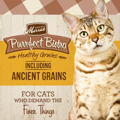 Image showing  Purrfect Bistro Healthy Grains Real Chicken + Brown Rice Recipe, 4 lb.