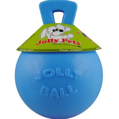 Jolly Pets 6 in. Tug- N - Toss Blueberry Dog Toy