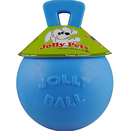 Jolly Pets 6 in. Tug-N-Toss Blueberry Dog Toy