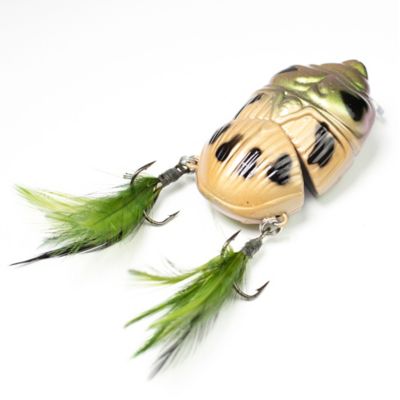 Image showing  Battle Beetle, BEET01