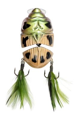 Image showing  Battle Beetle, BEET01