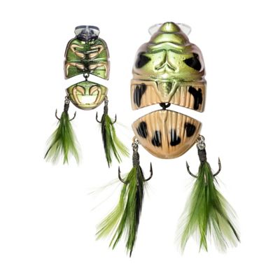 Image showing 5 th Lunkerhunt Battle Beetle, BEET01