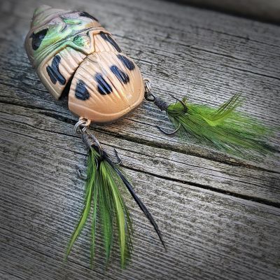 Image showing 6 th Lunkerhunt Battle Beetle, BEET01