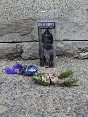 Image showing 8 th Lunkerhunt Battle Beetle, BEET01