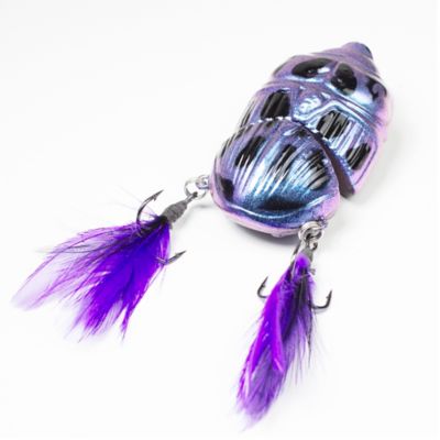 Image showing  Battle Beetle, BEET02