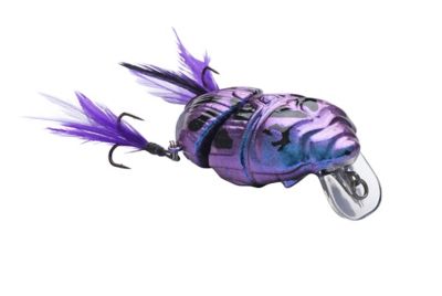 Image showing  Battle Beetle, BEET02