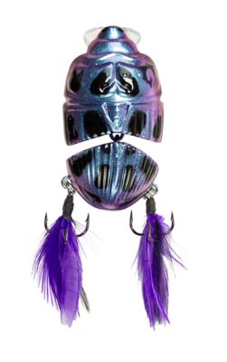 Image showing 5 th Lunkerhunt Battle Beetle, BEET02