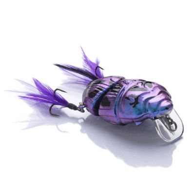 Image showing 6 th Lunkerhunt Battle Beetle, BEET02