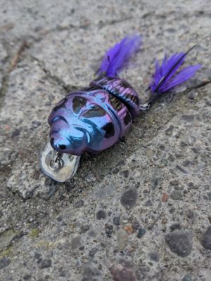 Image showing 8 th Lunkerhunt Battle Beetle, BEET02