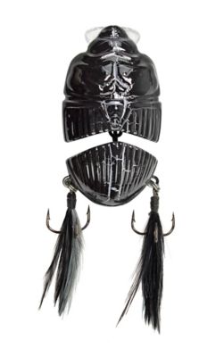 Image showing  Battle Beetle, BEET04