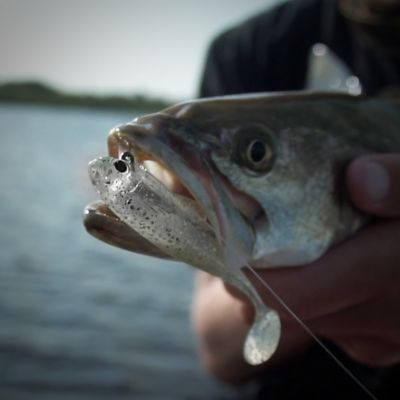 Image showing  Bait Shifter Minnow Kit, BMIN02