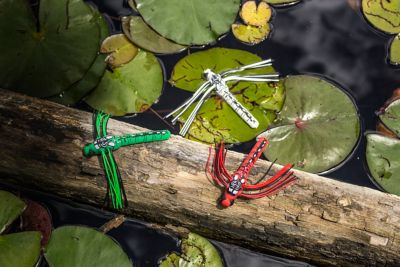 Image showing  Dragonfly, DRGF02