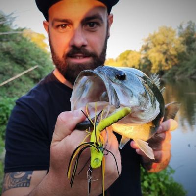 Image showing  Dragonfly, DRGF03