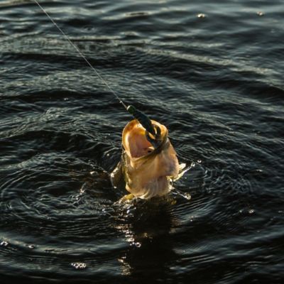 Image showing  Finesse Craw - Pre-Rigged, FC01