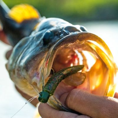 Image showing  Finesse Worm - Pre-Rigged, FW01