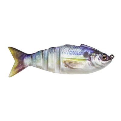 Image showing  Gambit Swimbait, GS01