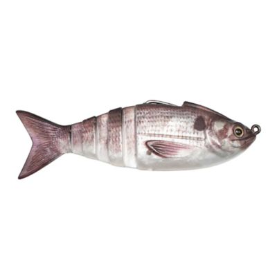 Image showing  Gambit Swimbait, GS02