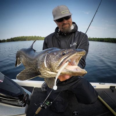 Image showing 5 th Lunkerhunt Swim Bento, LHP BS 401