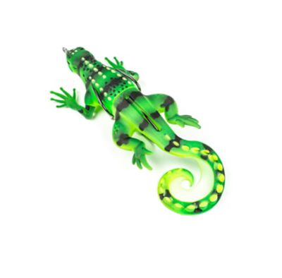 Image showing  Skitter Lizard, LIZ01