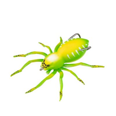 Image showing  Phantom Spider, LSPIDER03