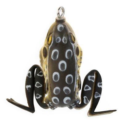 Image showing  Pocket Frog, PF04