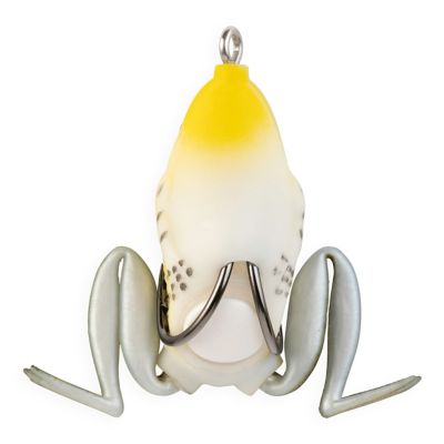 Image showing  Pocket Frog, PF04