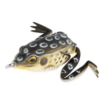 Image showing  Pocket Frog, PF04