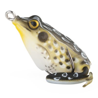 Image showing  Pocket Frog, PF04