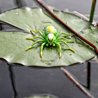 Image showing  Phantom Spider, SPIDER03