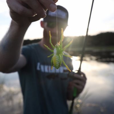 Image showing  Phantom Spider, SPIDER03