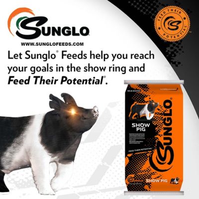 Image showing  Show Pig Complete Pig Feed, 50 lb. Bag