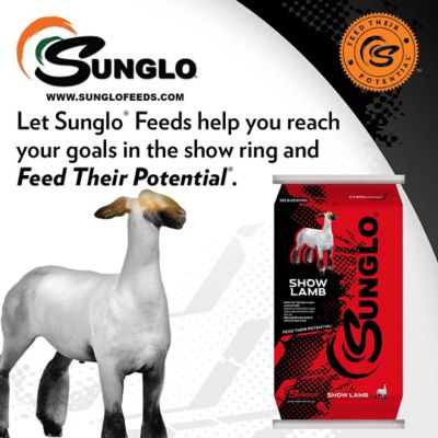 Image showing  Show Lamb Feed