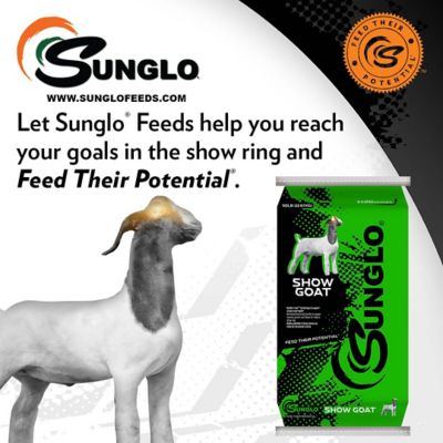 Image showing  Show Goat Feed