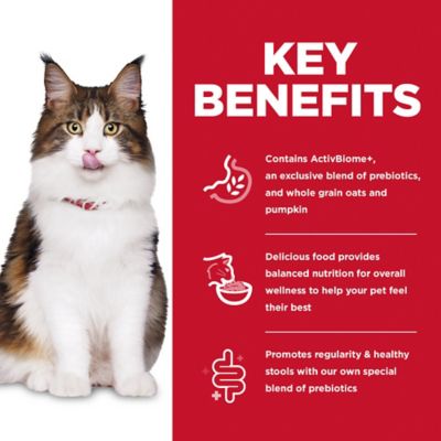 Image showing  Adult Perfect Digestion Chicken, Barley and Whole Oats Recipe Dry Cat Food