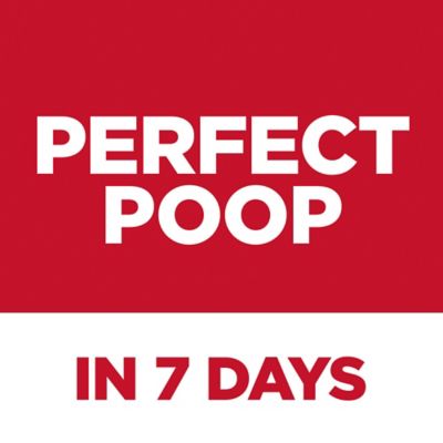 Image showing  Adult Perfect Digestion Chicken, Barley and Whole Oats Recipe Dry Cat Food