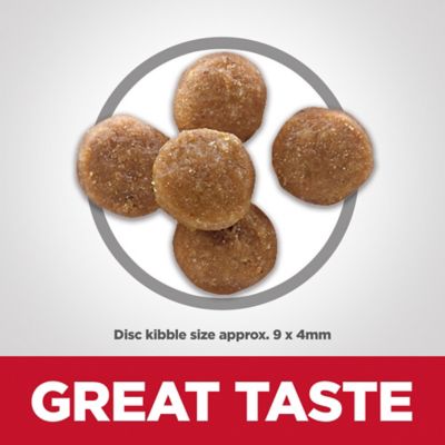 Image showing  Adult Perfect Digestion Chicken, Barley and Whole Oats Recipe Dry Cat Food