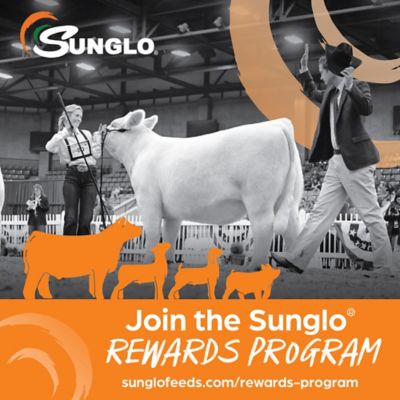 Image showing 6 th Sunglo 12T Show Cattle Feed, 50 lb. Bag